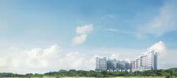 Skies Miltonia (D27), Condominium #507051561